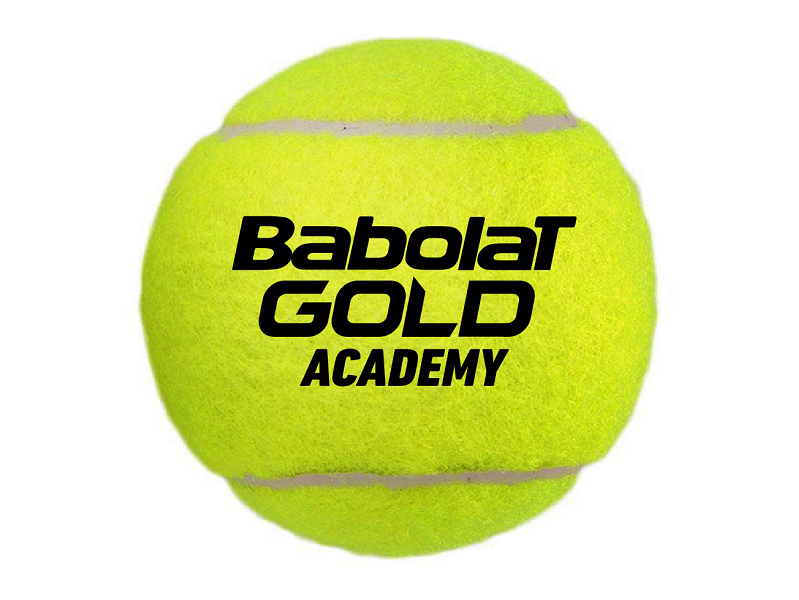 Gold Academy Bag x72